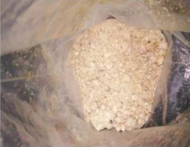 RTO爐白色結晶物